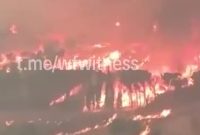 آتش‌سوزی‌های جنگلی در اسپانیا: بحران انسانی و زیست‌محیطی