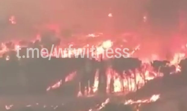 آتشسوزیهای جنگلی در اسپانیا: بحران انسانی و زیستمحیطی آتشسوزیهای جنگلی در اسپانیا: بحران انسانی و زیستمحیطی